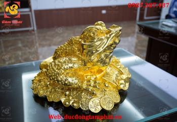 Cóc Ngậm Tiền Mạ Vàng 24k