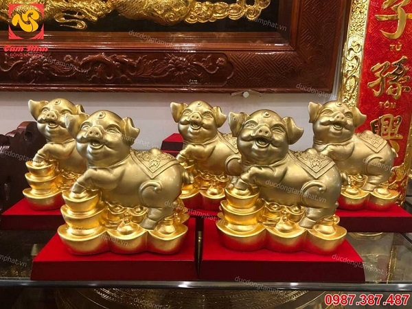 Heo đứng trên thỏi vàng thếp vàng điểm.!!